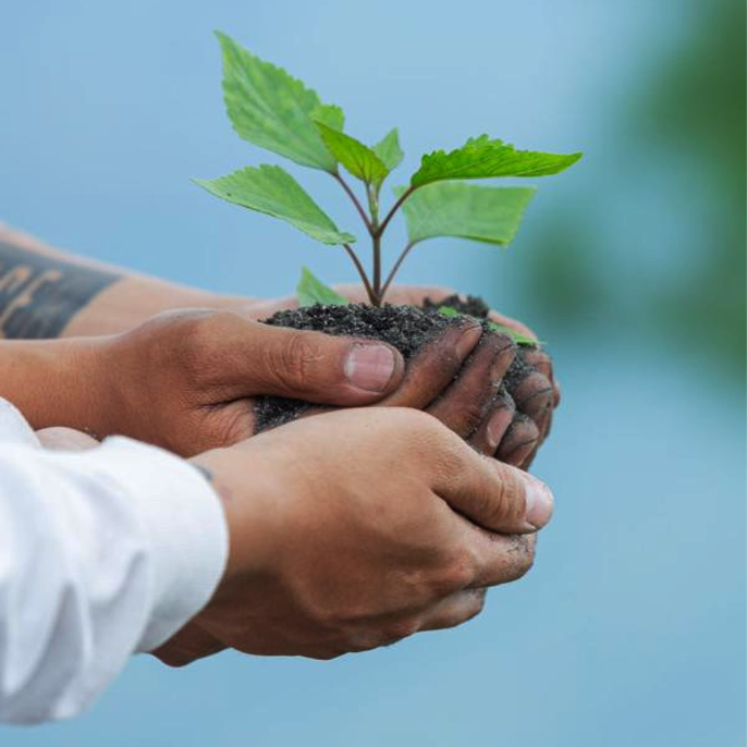 Leading Environmental Commitment by Orchid Ecotel – Stay Green, Stay Orchid Orchid Ecotel’s long-term environmental commitment for responsible hospitality