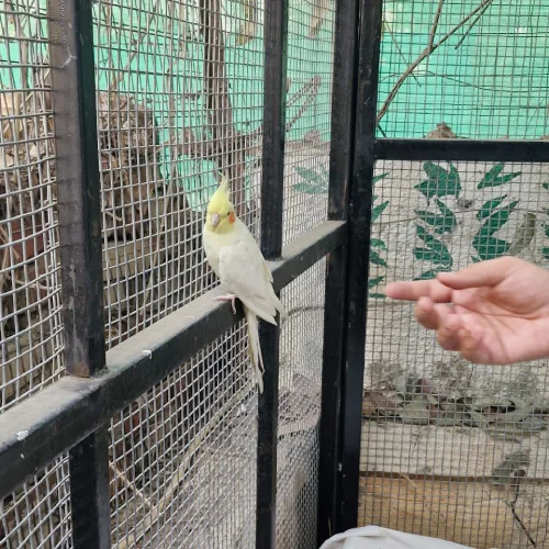 Community Welfare Meets Sustainability – Orchid Kamat Kutumbakam Orchid Ecotel promoting community welfare through Kamat Kutumbakam programs