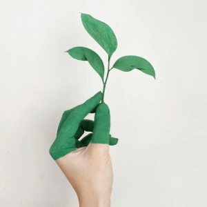 Orchid Hotels Solid Waste Management for a Greener Future Orchid Hotels Solid Waste Management - Sustainable Practices