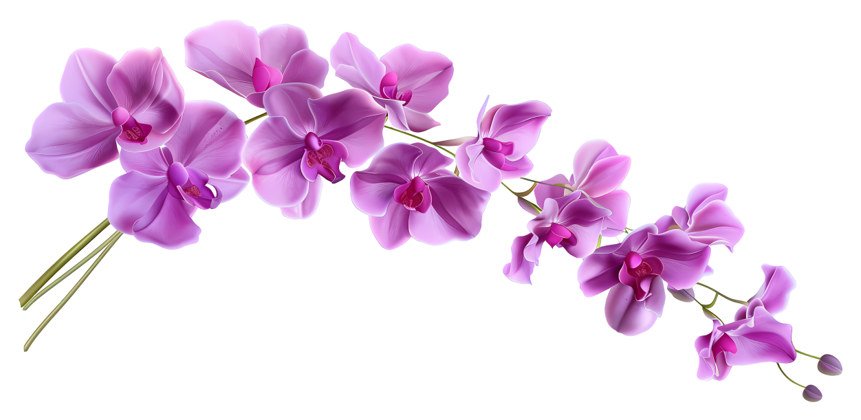 Luxurious Restaurant Setting with Hotel Offers in Vile Parle Reserve your table today and enjoy the Orchid Vile Parle’s fine dining offers
